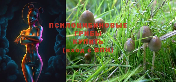 мескалин Кулебаки