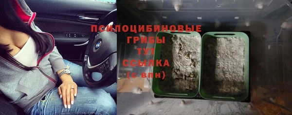 МДПВ Липки