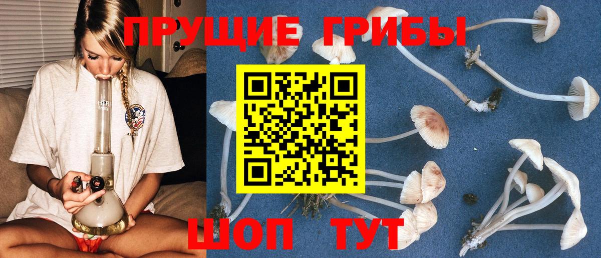 Псилоцибиновые грибы Psilocybe  Вход с VPN  Малгобек 