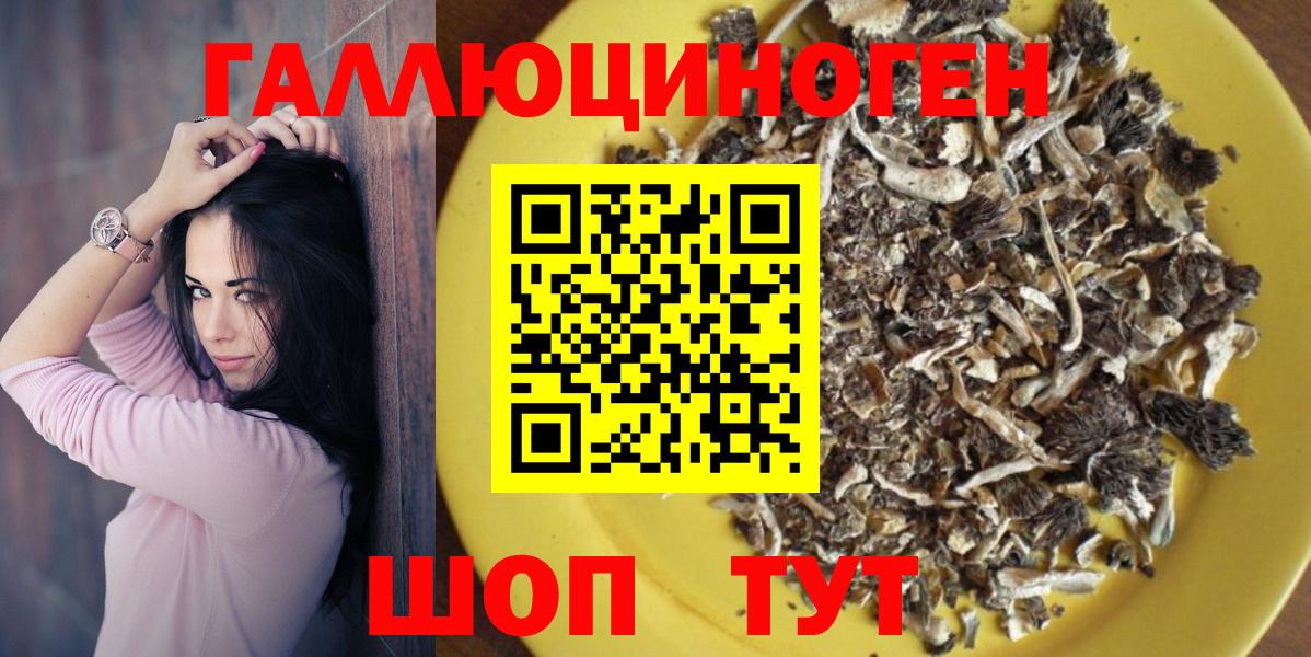 Псилоцибиновые грибы прущие грибы Малгобек