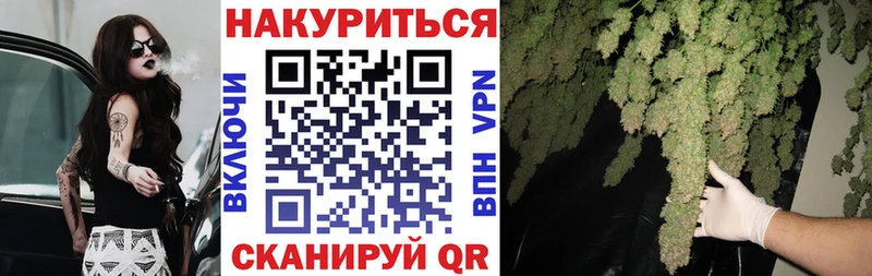 МАРИХУАНА план  Малгобек 