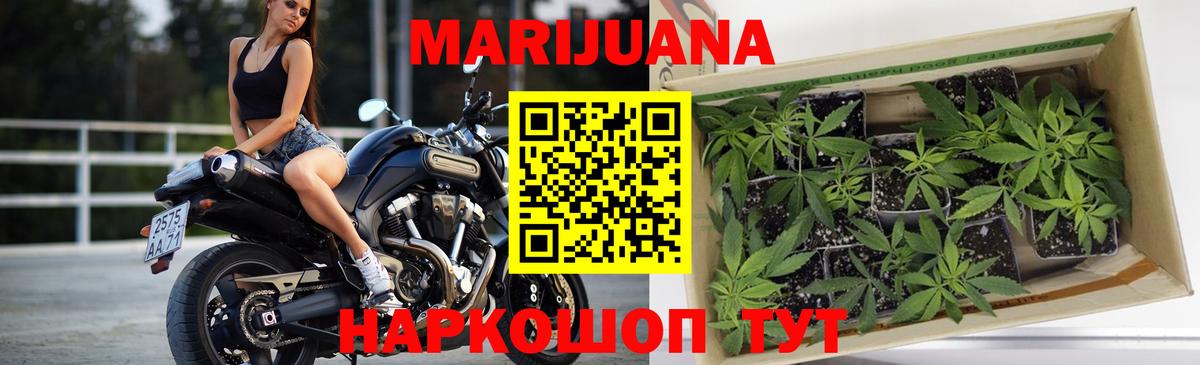 МАРИХУАНА OG Kush Малгобек