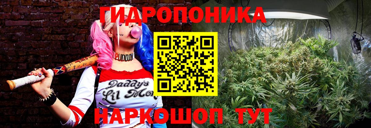 Бошки марихуана LSD WEED  Бошки Шишки Bruce Banner  Вход с VPN  Малгобек  Бошки Шишки марихуана 